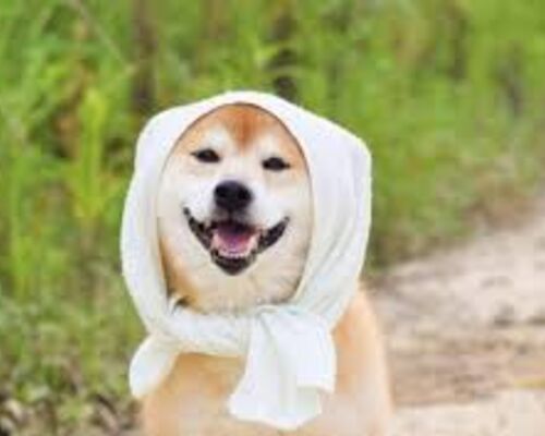 暑い夏③