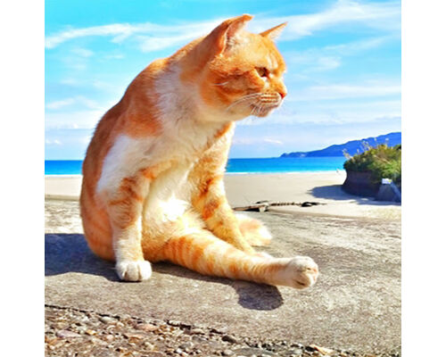暑い夏②