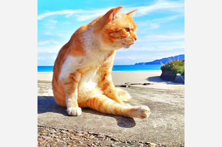 暑い夏②